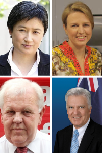 If a binding vote was good enough for Senators Wong & Pratt before the 2011 National Conference, it is good enough for Mr Hayes and Senator Bullock in 2015.